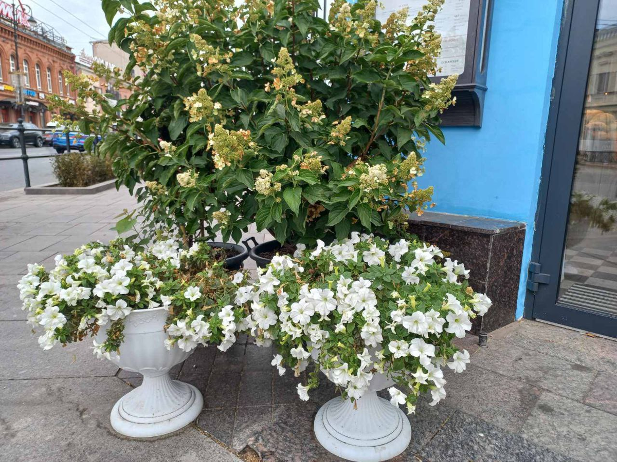 Фото автора.