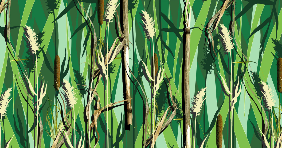 Трава, камыш, рогоз, графика