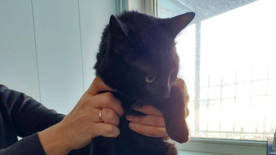 Фото: Транспортная группа Fesco