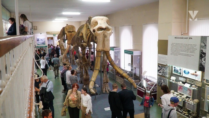      Фото: ИА «Победа26»