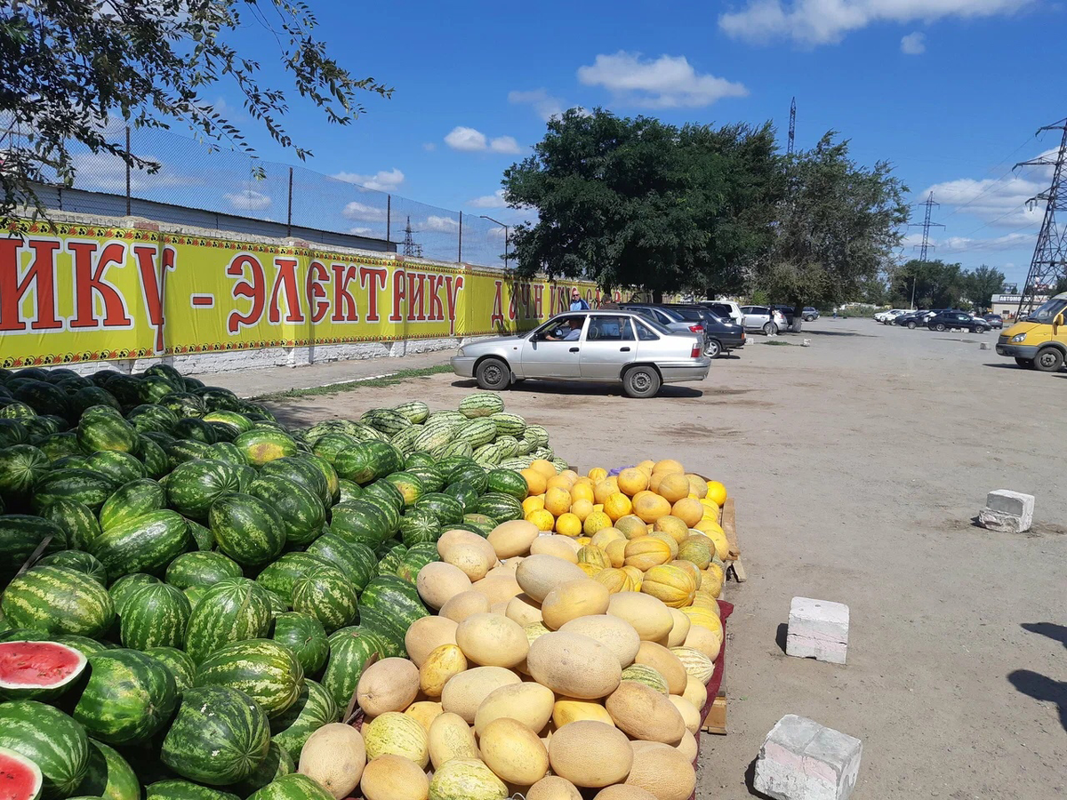 В Волгоградской области также выращивают продолговатый сорт «Малахит». Фото: Игорь Васильев / Яндекс Карты