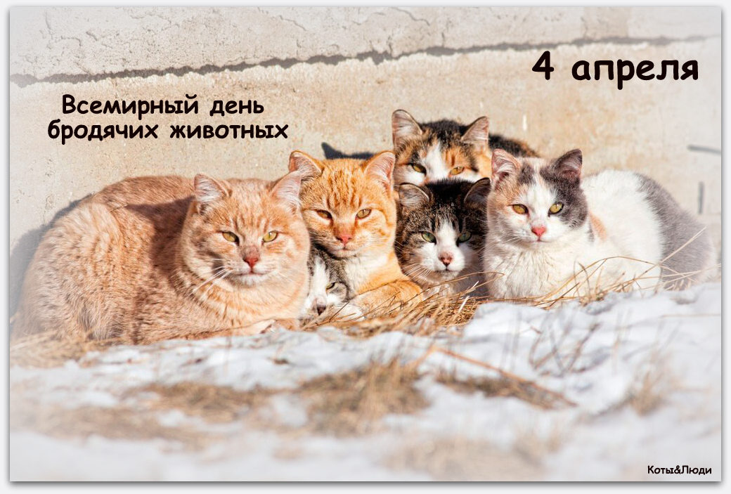 Коллаж автора