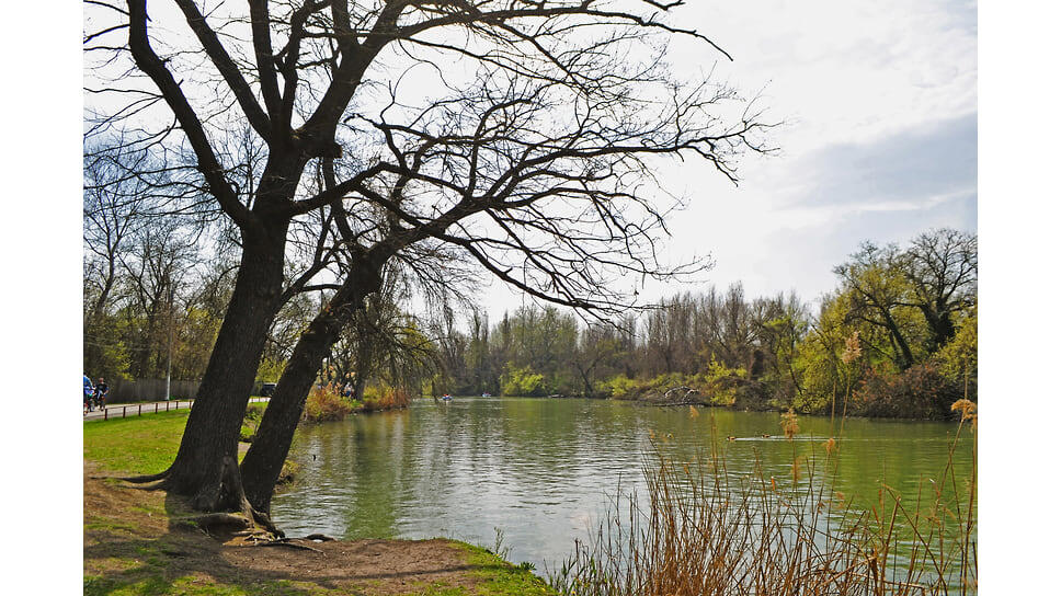 Парк располагается на живописном острове, окруженном водами озера Старая Кубань.📷Фото: Маргарита Синкевич