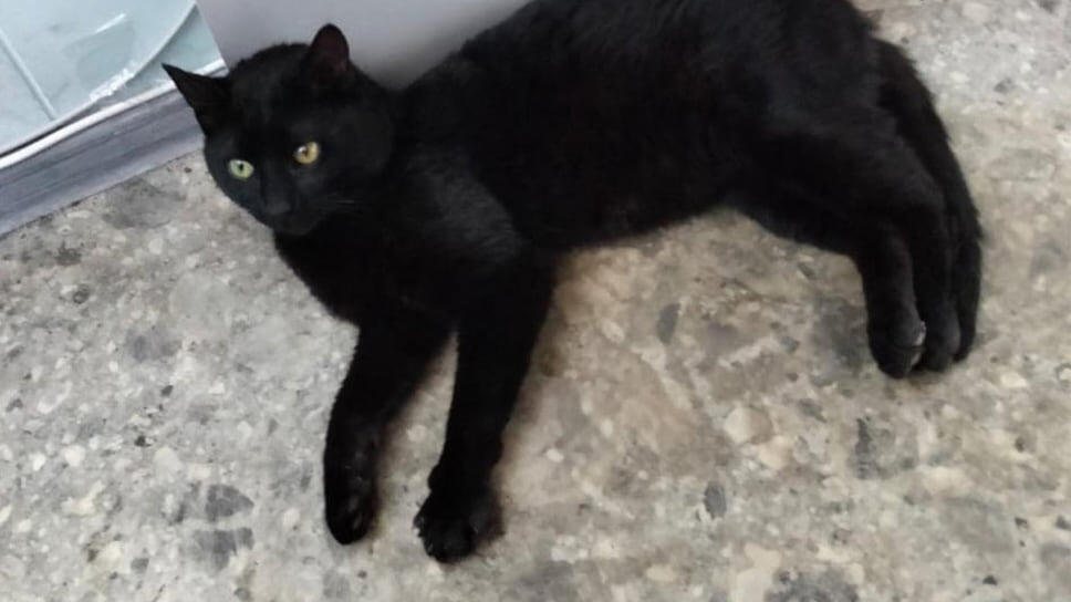 Фото: Транспортная группа Fesco