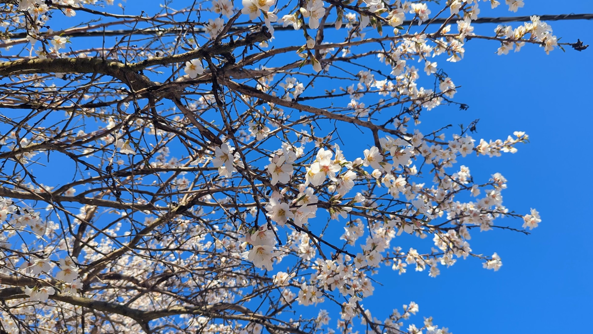 Личный архив