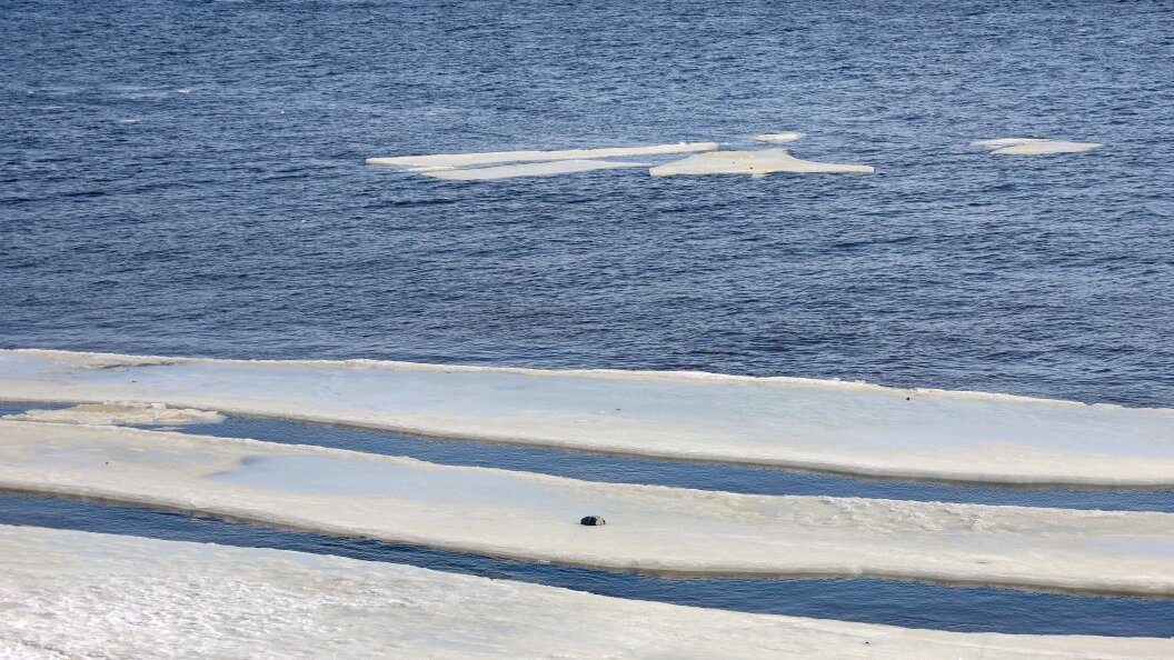    Фото: Elena Mayorova/Global Look Press