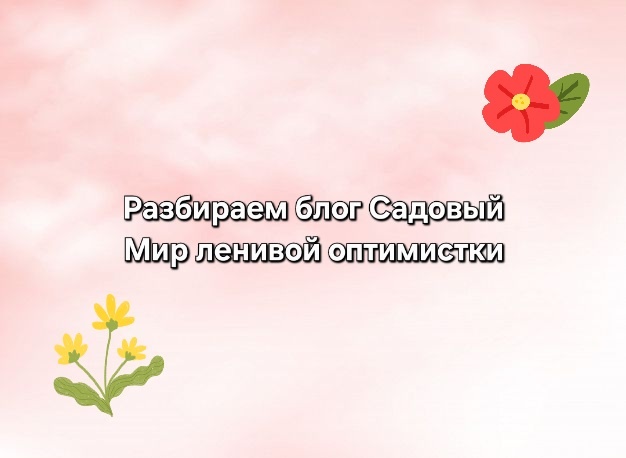 коллаж автора