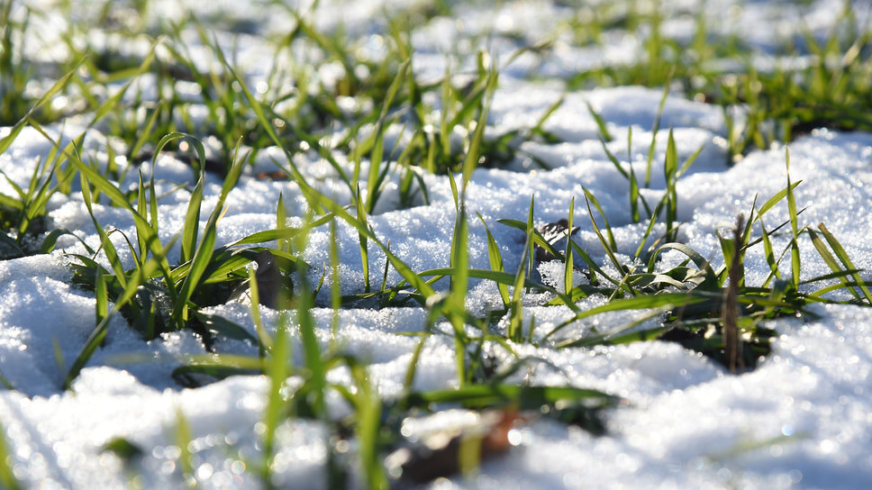 Фото: Игорь Елисеев / Коммерсантъ