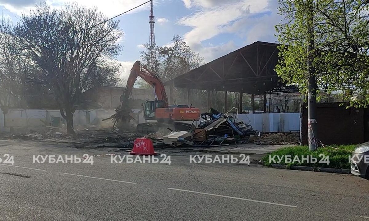    Фото «Кубань 24»