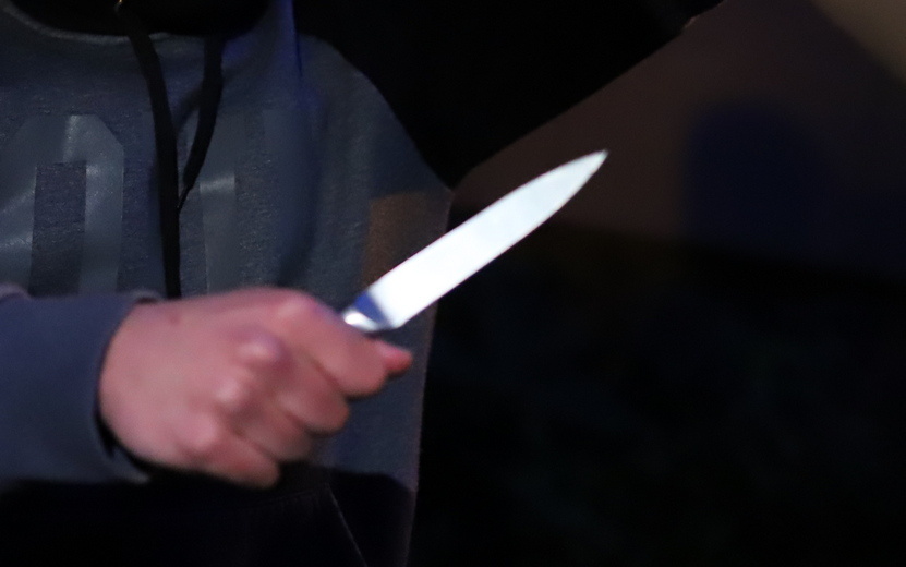    Мужчина под наркотиками с ножом напал на 14-летнюю девочку в Удмуртии