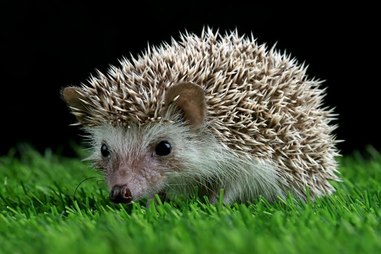 © photo credit by ru.freepik.com/ kuritafsheen77