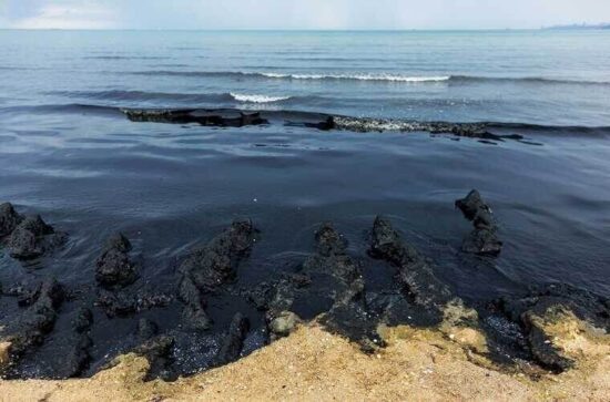 Фото: Яндекс картинки