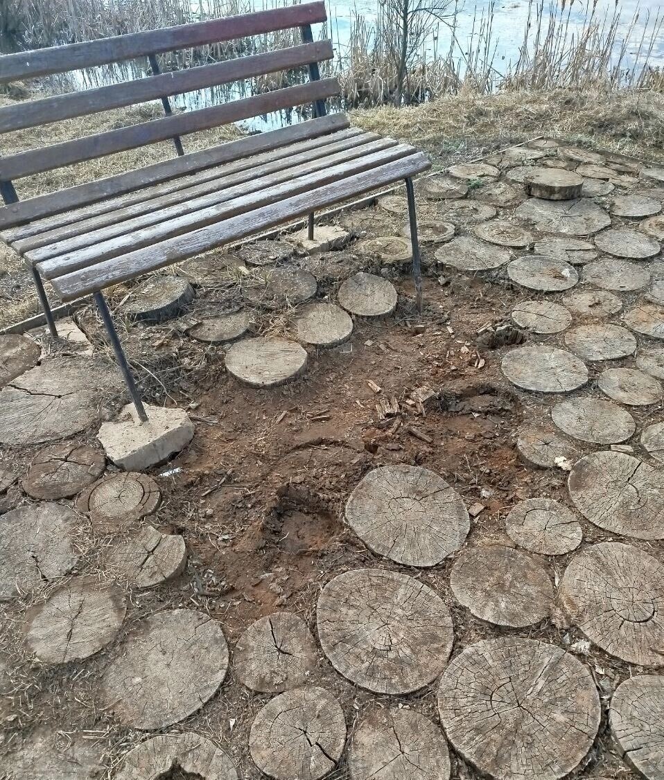     Источник: vk.com/администрация Кизнерского района