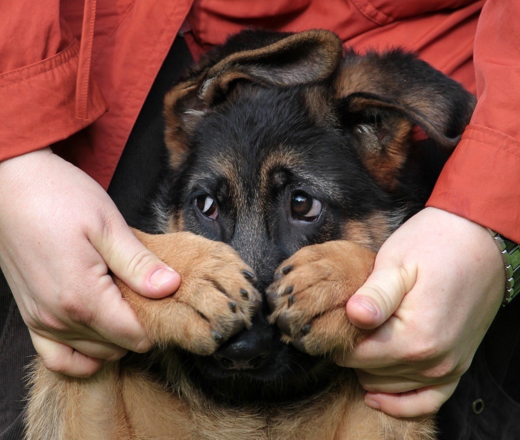 "Поцелуй на моих губах
Горит огнём
И вся музыка сейчас —
Ему, о нём"(с) Фото: thagalegov.ru
