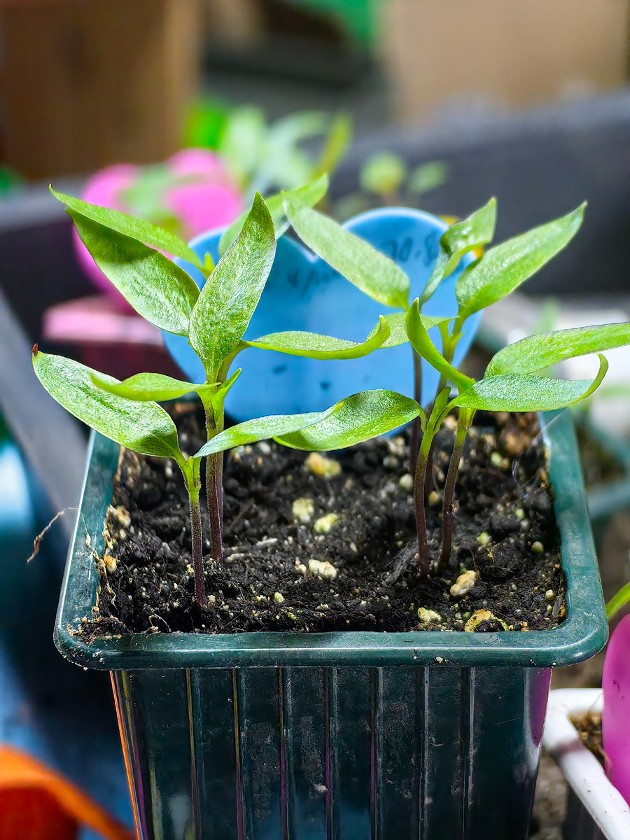 Перед переездом на новое место жительства