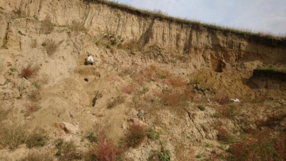    Фрагмент стенки заброшенного карьера, вскрывшего бийскую террасу около Карабинки. Источник: пресс-служба ИНГГ СО РАН