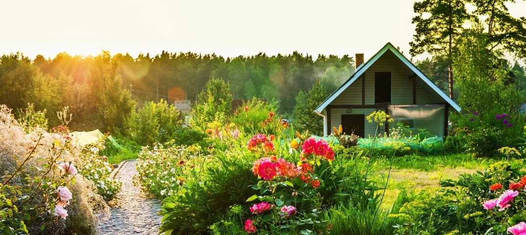 фото из интернета