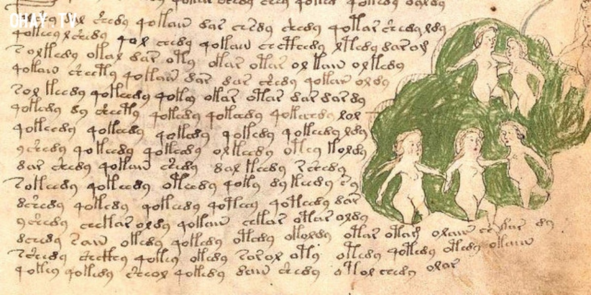    Тайна рукописи Войнича раскроется в 2025 или мы так и не узнаем ее секреты