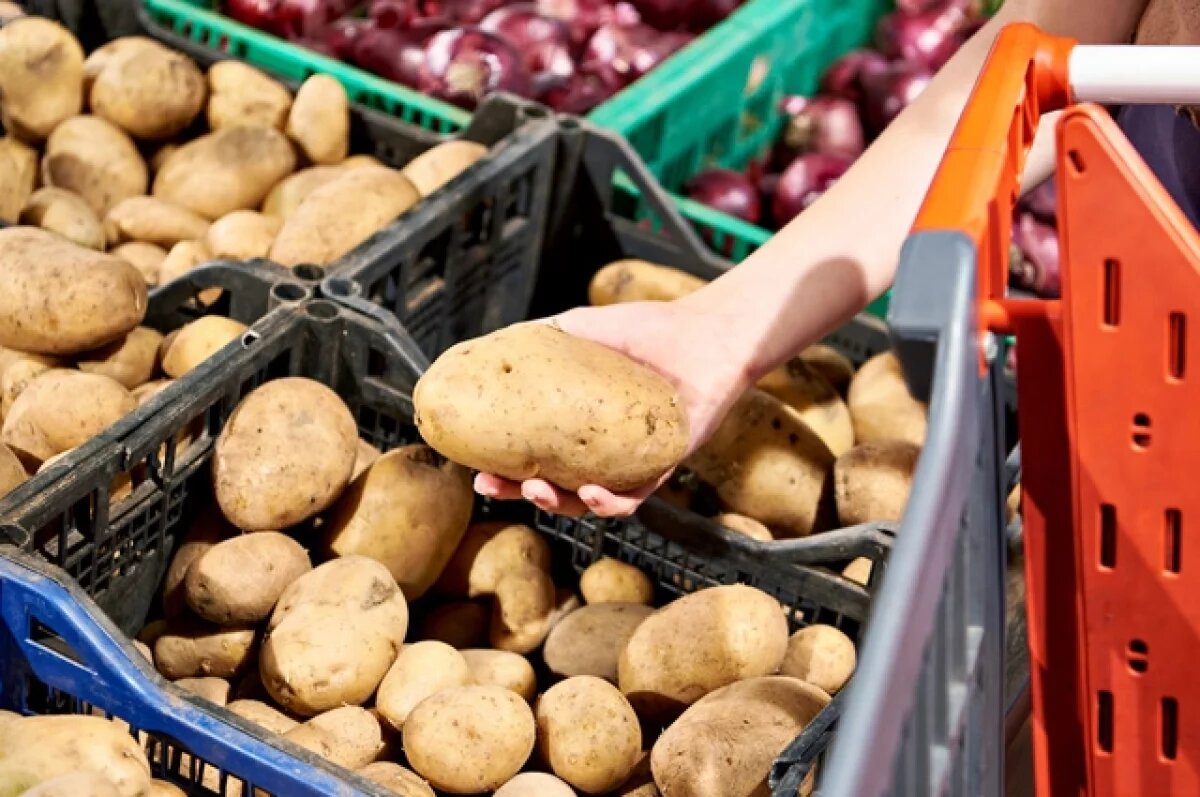    Когда в магазинах появится отечественная молодая картошка, цены сами пойдут вниз.