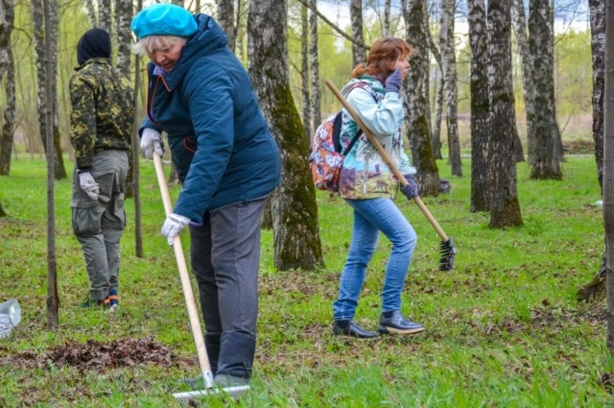    В Туле подвели двухнедельные итоги месячника чистоты