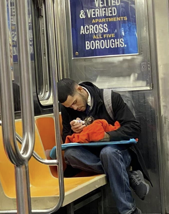 Источник: boredpanda