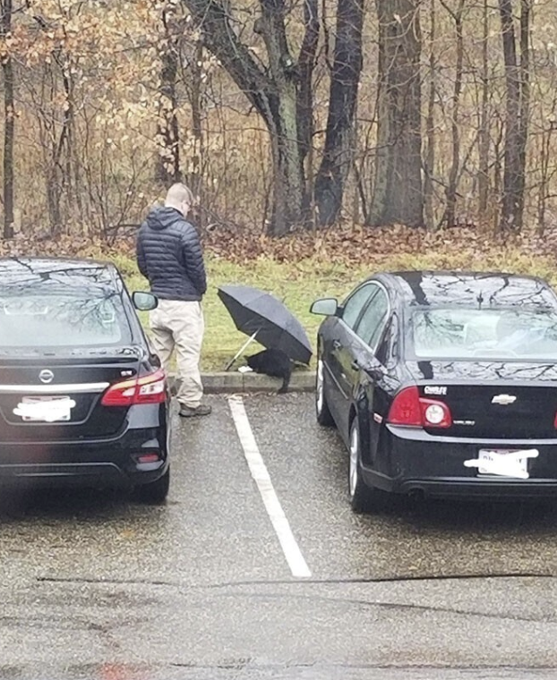 Источник: boredpanda