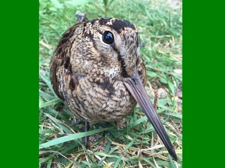     Фото Виктории Поповой