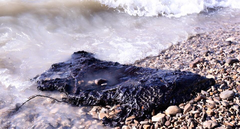    Roman Naumov/URA.RU / www.globallookpress.com