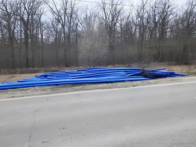    Фото: Penza-gorod.ru