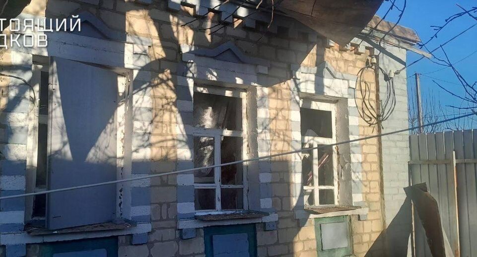    Губернатор Белгородской области Вячеслав Гладков / Telegram