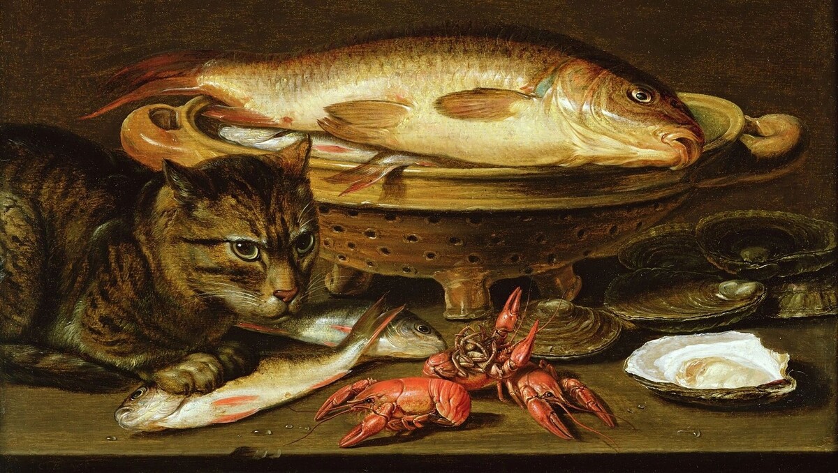     Автор: К. Питерс, «Натюрморт с рыбой, устрицами, раками и котом», 1615 г.
