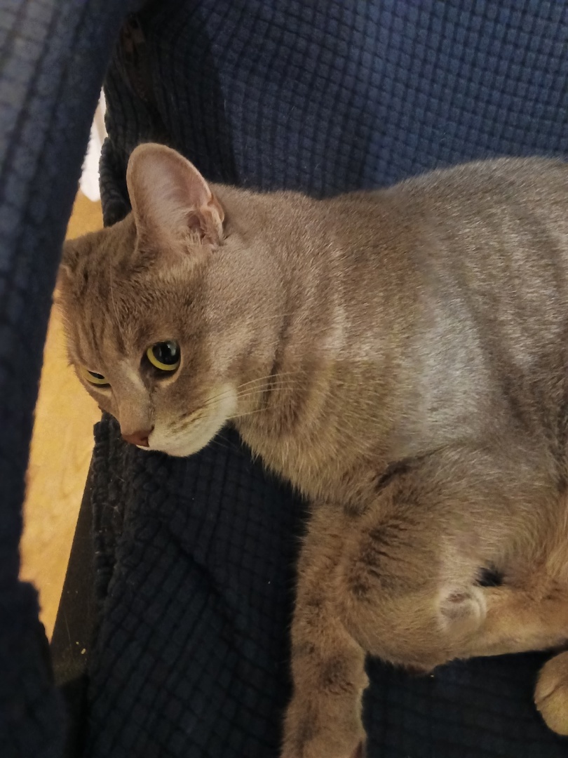 Сама скромность