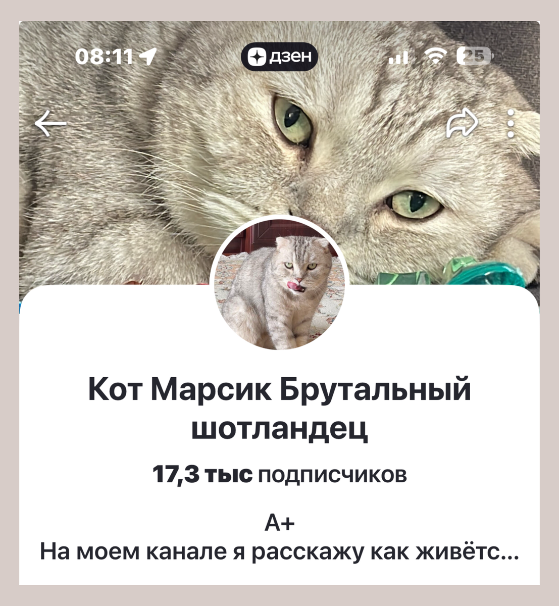 Вы многое точно на них подписаны!