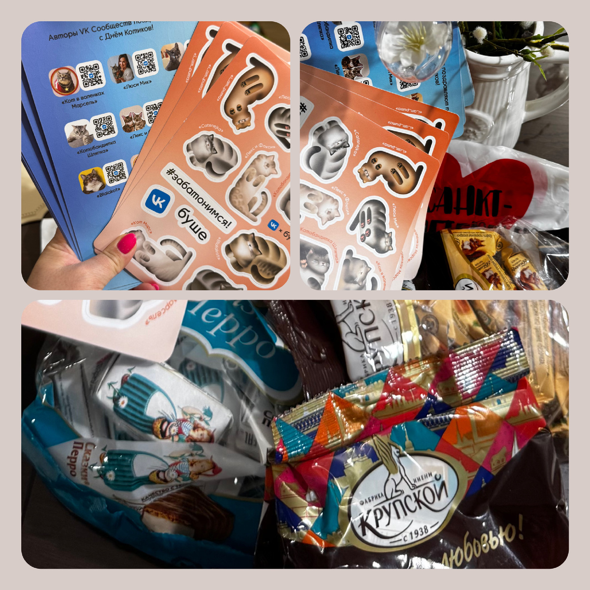 Посылка была не только с Флаерами, но и с вкусными питерскими конфетами! Ох мы помурчали над ними😽
