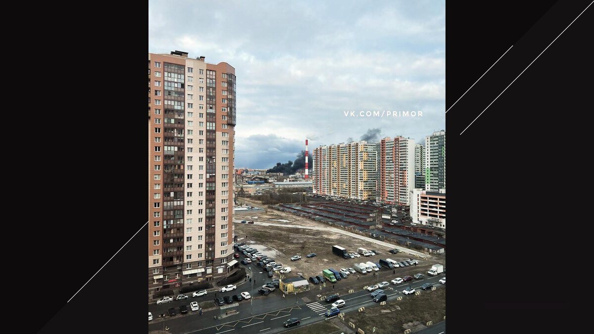    Фото: vk.com/primor