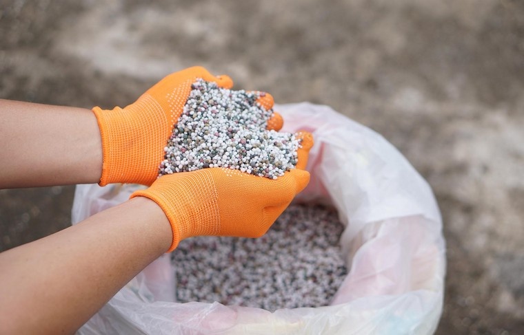    Shutterstock/FOTODOM