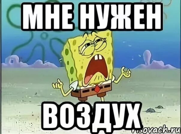 Юмор -воздух источник яндекс картинки