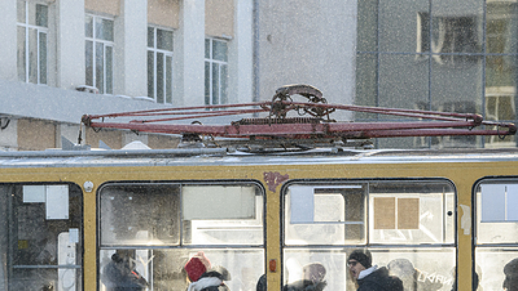    Фото: Ilya Moskovets/Globallookpress.