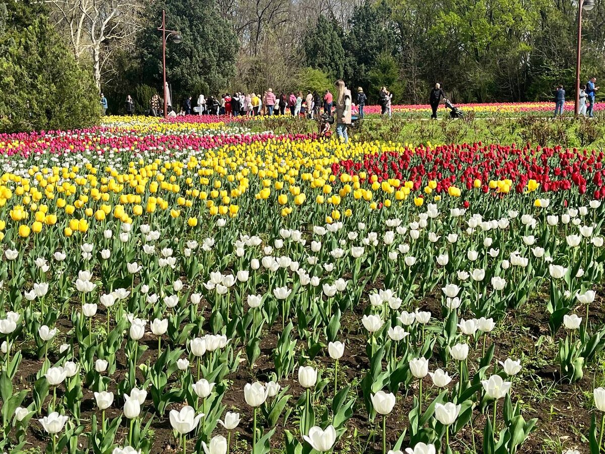 Фото: Утренний Юг