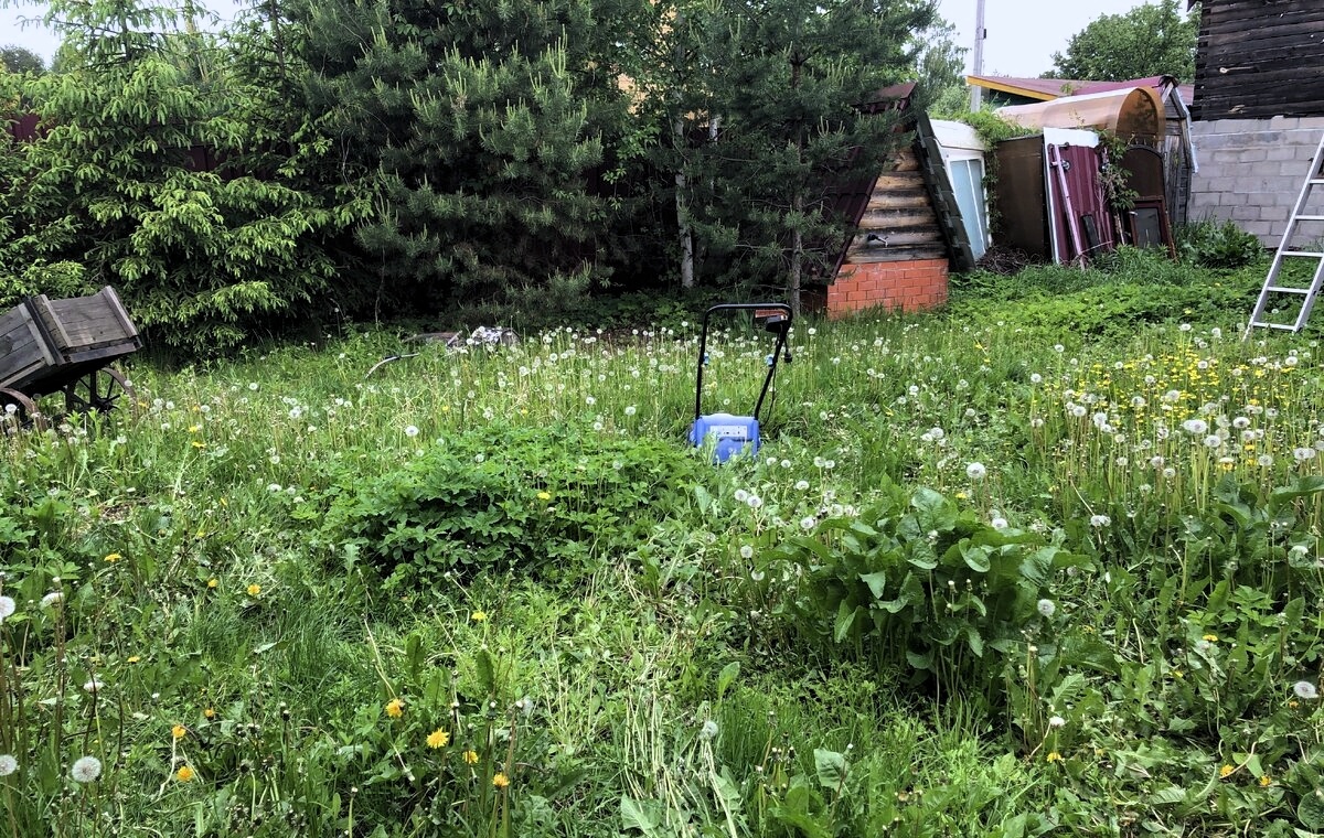 Хозяева, вы где? Фото из открытых источников.