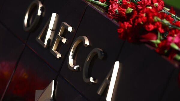    © РИА Новости . Владимир Астапкович