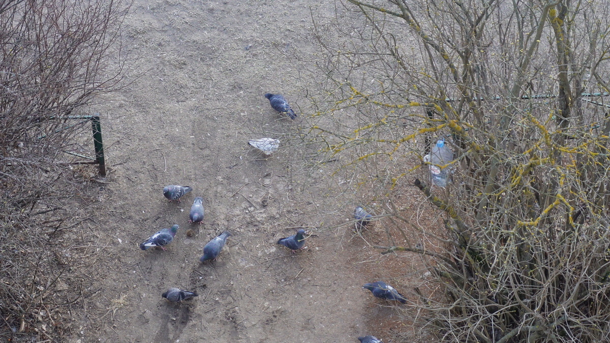 С балкона...