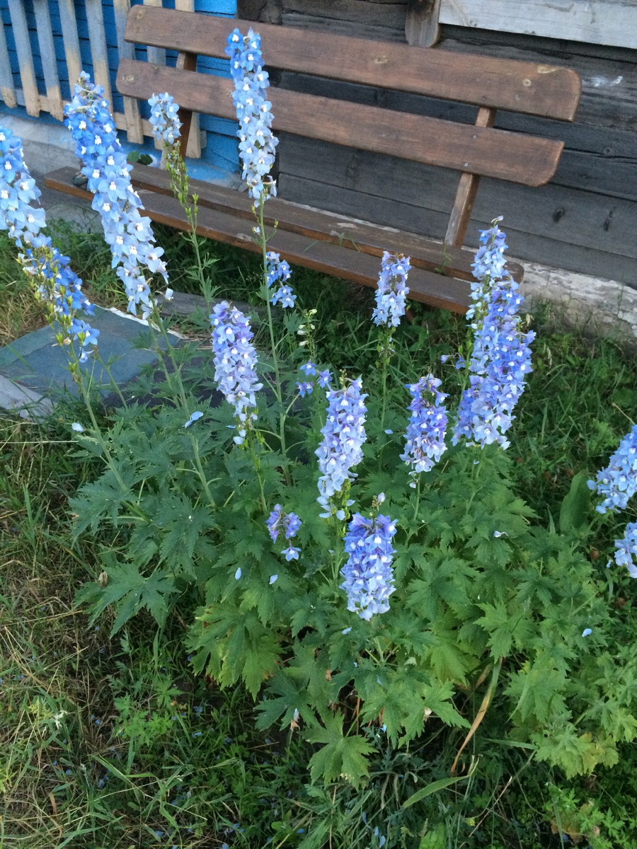 Фото автора.