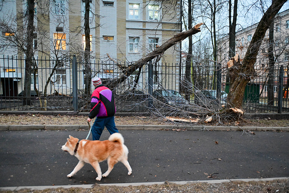    ©Агентство городских новостей "Москва"