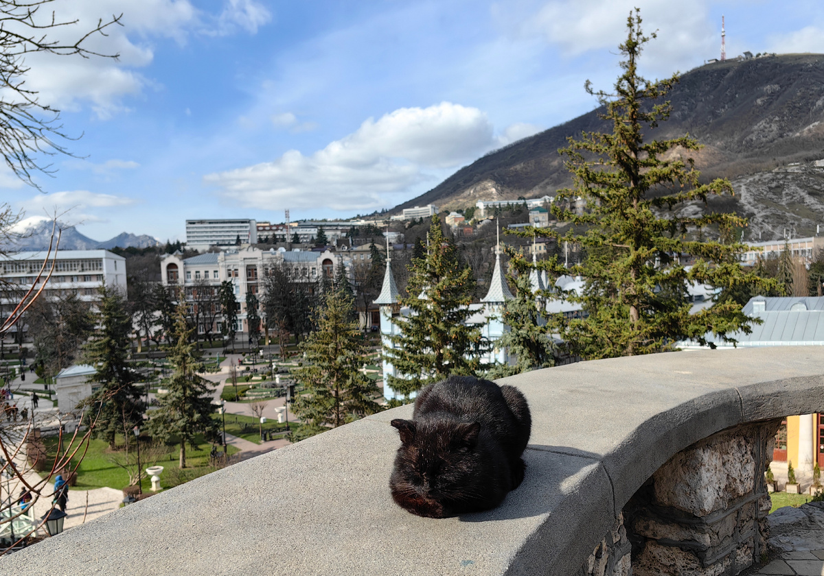 Пятигорский кот