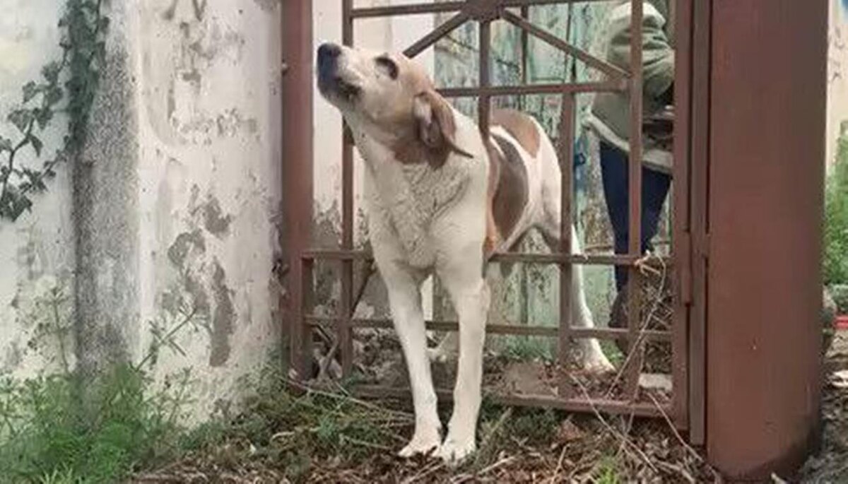 Фото: Алексей Одеров