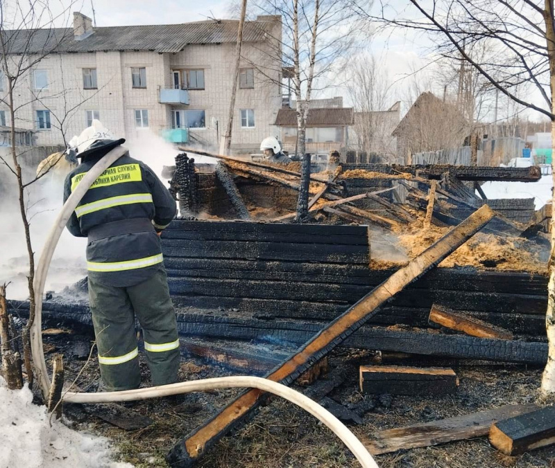    Две козы и 15 кур сгорели на пожаре в поселке КарелииГосударственный комитет Карелии по ОЖ и БН