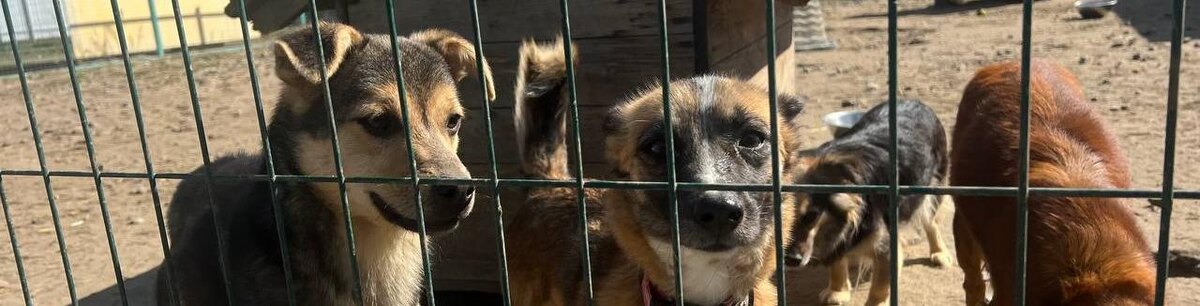    Фото: Вероника Максимова