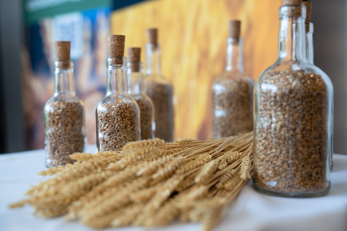 Фото: Александр Плонский / «Агроэксперт»