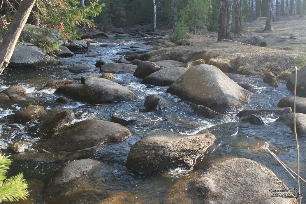    Фото: Вера Яковлева © ИА «Уральский меридиан»